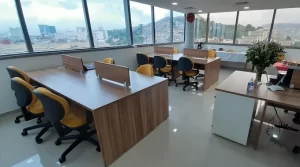 Montador de Móveis Pitangueiras RJ