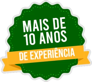Montador de Móveis Pitangueiras RJ