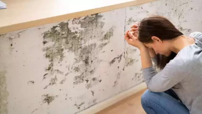 Como Evitar Mofo em MDF: Dicas e Soluções Eficazes, Montador de Móveis Bangu RJ